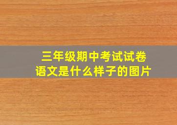 三年级期中考试试卷语文是什么样子的图片