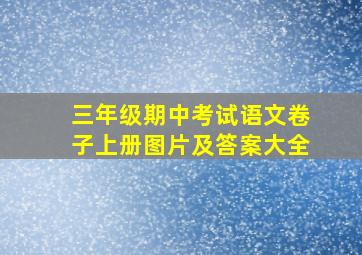 三年级期中考试语文卷子上册图片及答案大全