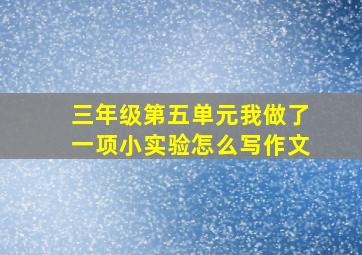 三年级第五单元我做了一项小实验怎么写作文