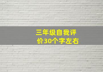 三年级自我评价30个字左右