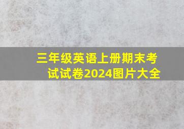 三年级英语上册期末考试试卷2024图片大全