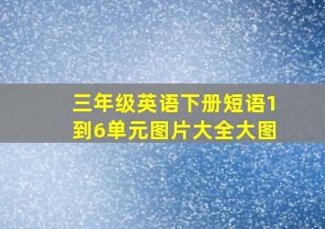 三年级英语下册短语1到6单元图片大全大图