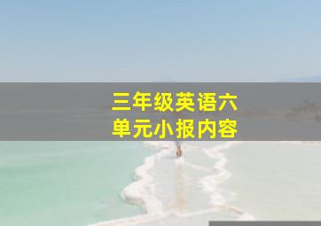 三年级英语六单元小报内容