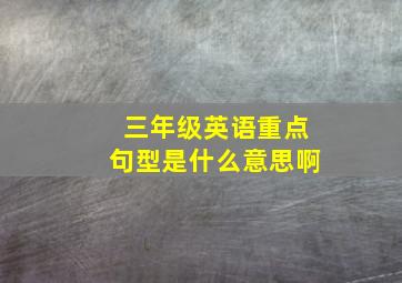 三年级英语重点句型是什么意思啊