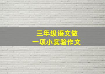 三年级语文做一项小实验作文