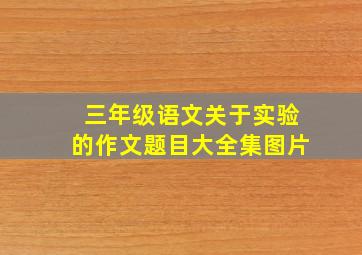 三年级语文关于实验的作文题目大全集图片