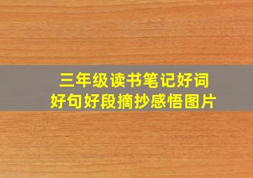 三年级读书笔记好词好句好段摘抄感悟图片