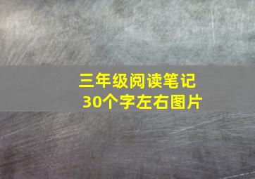 三年级阅读笔记30个字左右图片