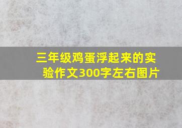 三年级鸡蛋浮起来的实验作文300字左右图片