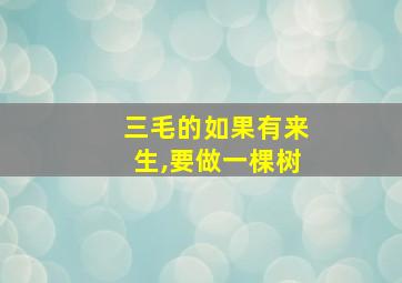 三毛的如果有来生,要做一棵树