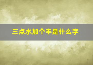 三点水加个丰是什么字