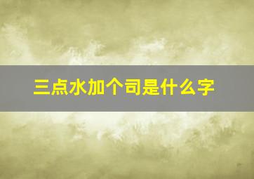 三点水加个司是什么字