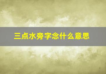 三点水旁字念什么意思