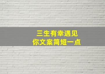 三生有幸遇见你文案简短一点