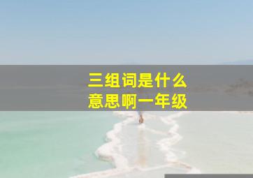 三组词是什么意思啊一年级