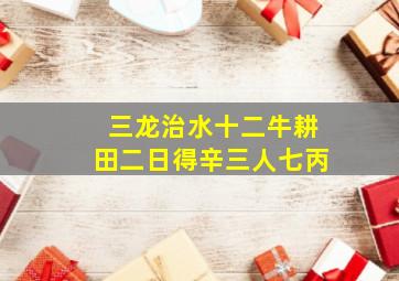 三龙治水十二牛耕田二日得辛三人七丙