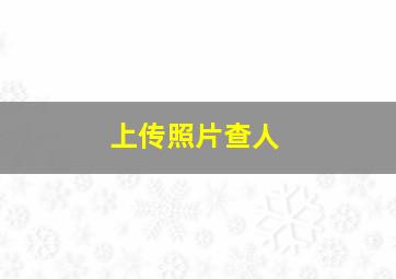 上传照片查人