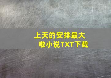 上天的安排最大啦小说TXT下载