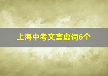 上海中考文言虚词6个