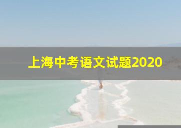 上海中考语文试题2020