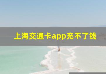 上海交通卡app充不了钱