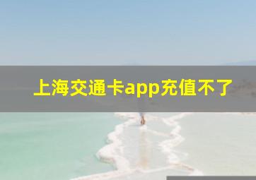 上海交通卡app充值不了