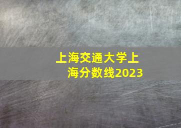 上海交通大学上海分数线2023