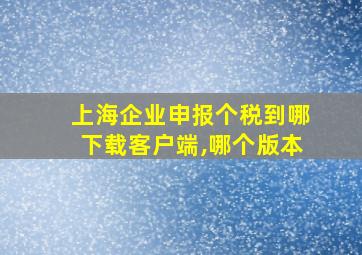 上海企业申报个税到哪下载客户端,哪个版本