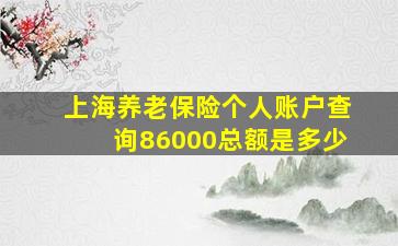 上海养老保险个人账户查询86000总额是多少