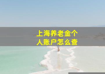 上海养老金个人账户怎么查