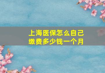 上海医保怎么自己缴费多少钱一个月