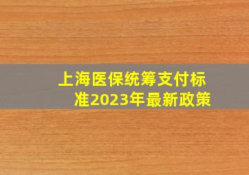 上海医保统筹支付标准2023年最新政策