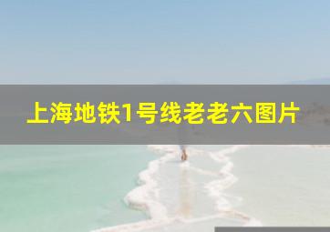 上海地铁1号线老老六图片