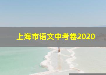 上海市语文中考卷2020