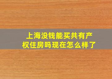 上海没钱能买共有产权住房吗现在怎么样了