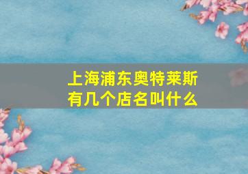 上海浦东奥特莱斯有几个店名叫什么