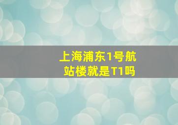 上海浦东1号航站楼就是T1吗