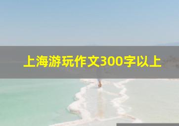 上海游玩作文300字以上