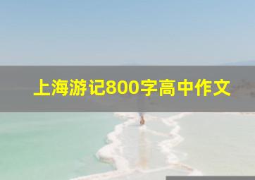 上海游记800字高中作文