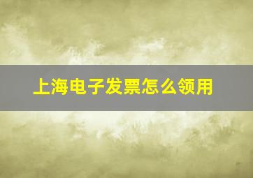 上海电子发票怎么领用