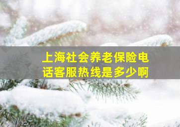 上海社会养老保险电话客服热线是多少啊