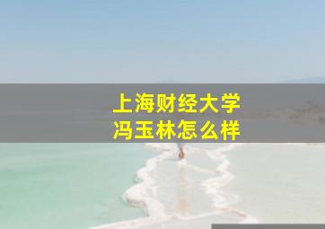 上海财经大学冯玉林怎么样