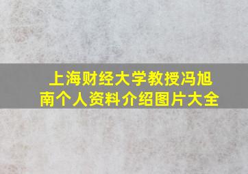 上海财经大学教授冯旭南个人资料介绍图片大全