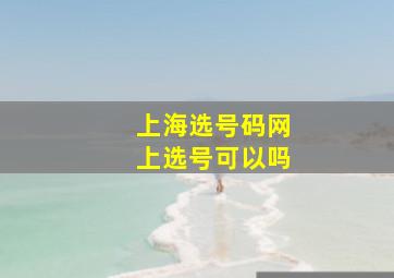 上海选号码网上选号可以吗