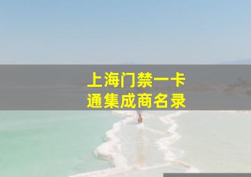 上海门禁一卡通集成商名录