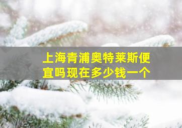 上海青浦奥特莱斯便宜吗现在多少钱一个