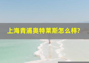 上海青浦奥特莱斯怎么样?