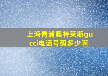 上海青浦奥特莱斯gucci电话号码多少啊