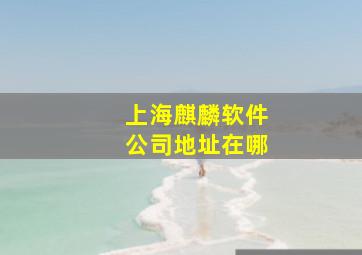 上海麒麟软件公司地址在哪