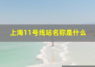 上海11号线站名称是什么